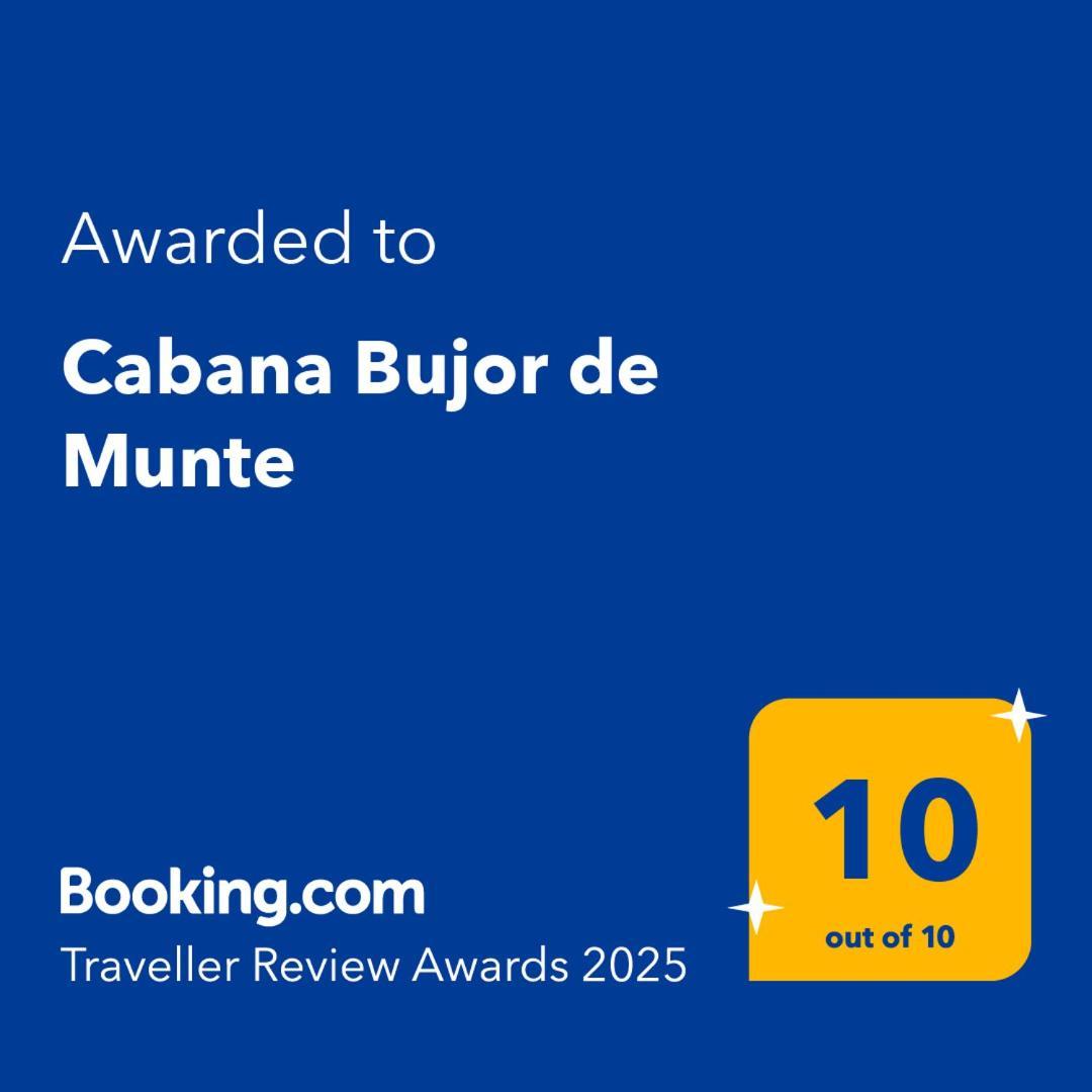 Cabana Bujor De Munte Рышнов Экстерьер фото