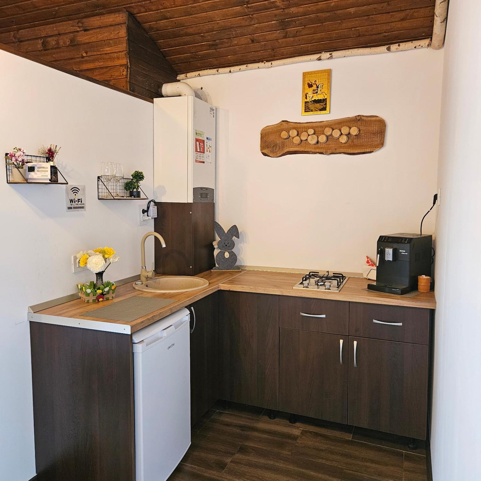 Cabana Bujor De Munte Рышнов Экстерьер фото